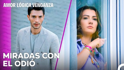 La Juventud de Ozan En Este Barrio - Amor Lógica Venganza