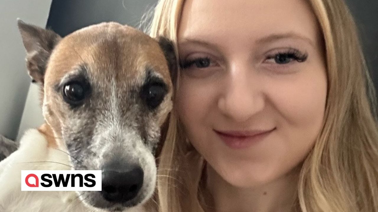 „Sprechender" Hund sagt den Namen der Besitzerin - sie ist begeistert