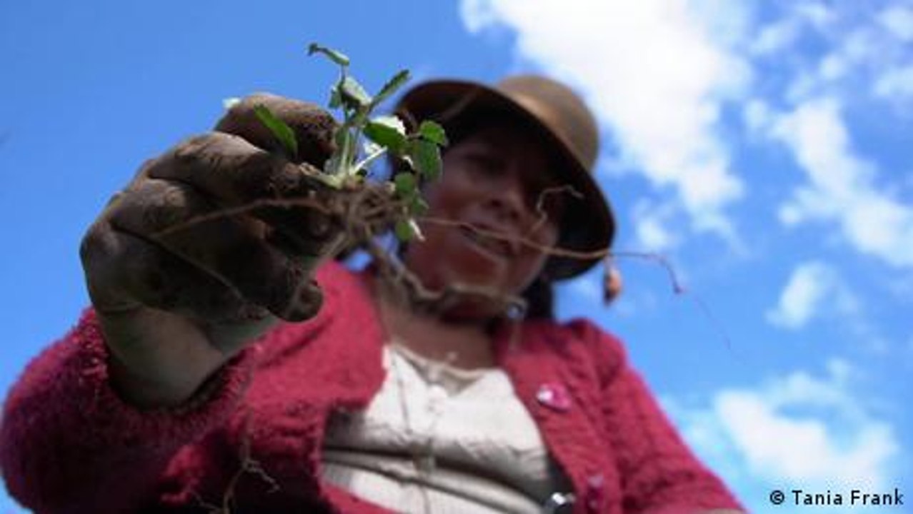 Warmi kewiñas: las sembradoras de bosques - Vídeo Dailymotion
