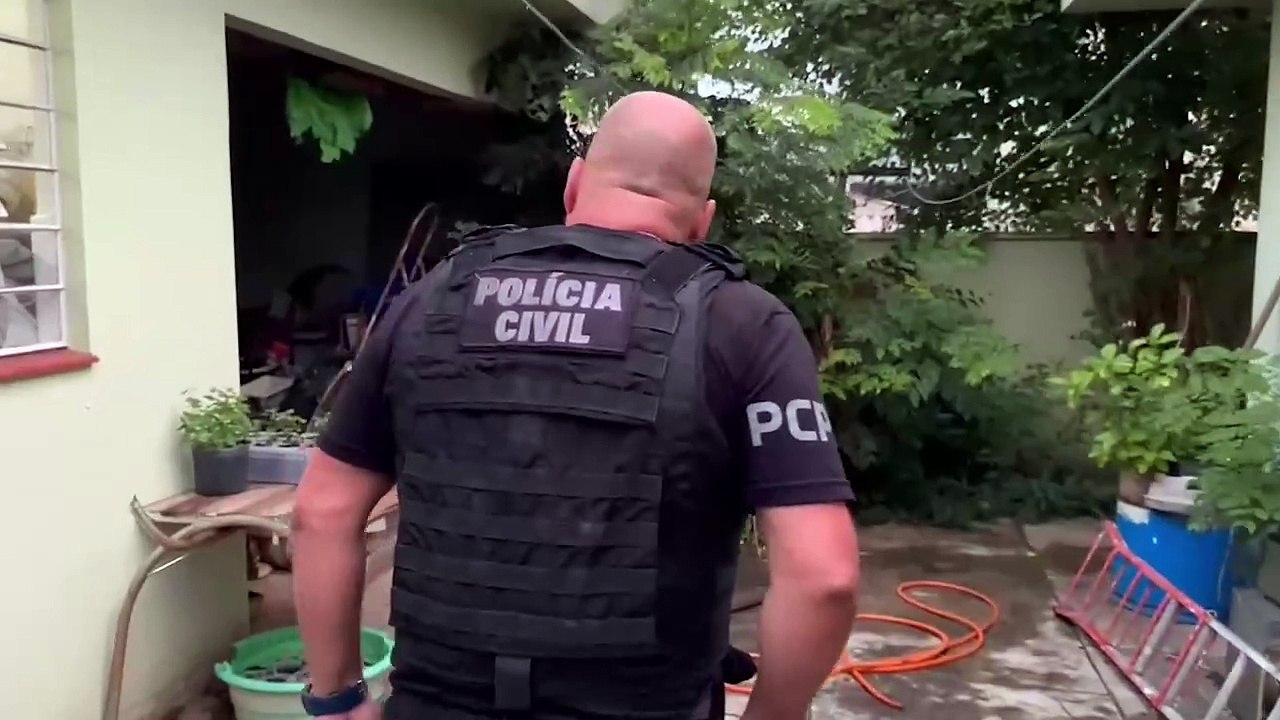 Grupo que fazia 'delivery' de animais silvestres traficados é alvo de operação