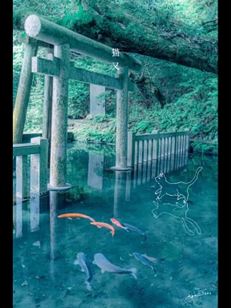 japan travel