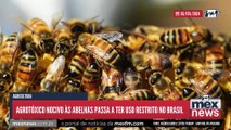 Agrotóxico nocivo às abelhas passa a ter uso restrito no Brasil #mexfm #webradiomexfm #brasil #mexnews #noticias