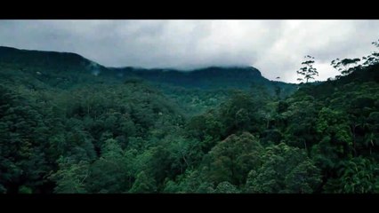 The most exciting and spectacular scenes of Land of Bad Movie (2024) Part 1