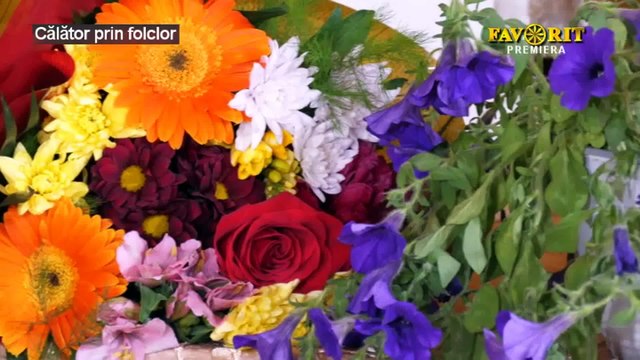 Elena Platica - Azi in sat e nunta mare (Calator prin folclor - Favorit TV - 25.02.2024)