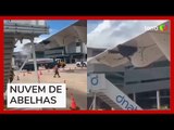 'Nuvem de abelhas' cerca avião e atrasa desembarque de passageiros no RN