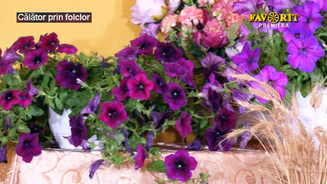 Cristina Maria Chiruta - Mandra de pescar (Calator prin folclor - Favorit TV - 25.02.2024)