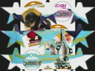 Royaume Valyo: La boutique et l'élevage