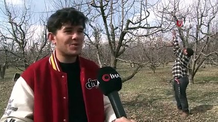 Niçin korktuğunu açıkladı! Dronu gören Mehmet Amca traktörün altına saklandı