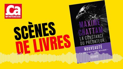Scènes de livres : La constance du prédateur, de Maxime Chattam