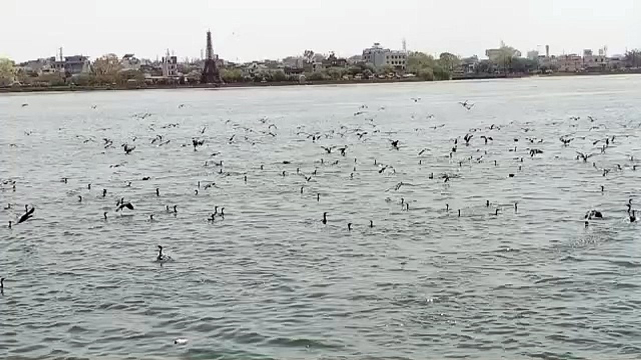 Weather News : 1 मार्च से एक और तीव्र पश्चिमी विक्षोभ सक्रिय होने से ऐसा रहेगा राजस्थान का मौसम