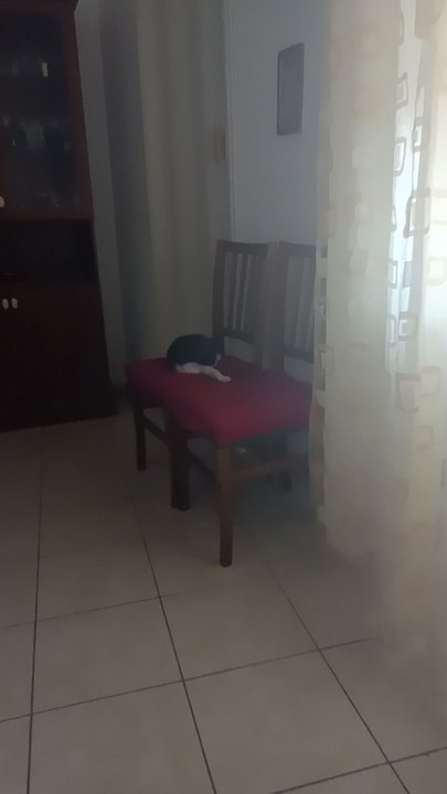 c'è chi dorme beato