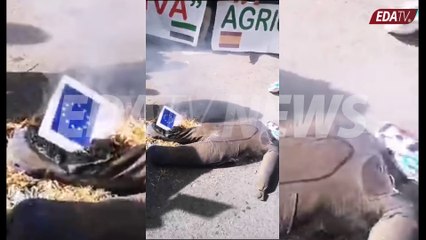 Vean como los agricultores queman muñecos con las caras de Sánchez y Luis Planas