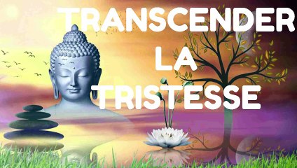 TRANSCENDER LA TRISTESSE