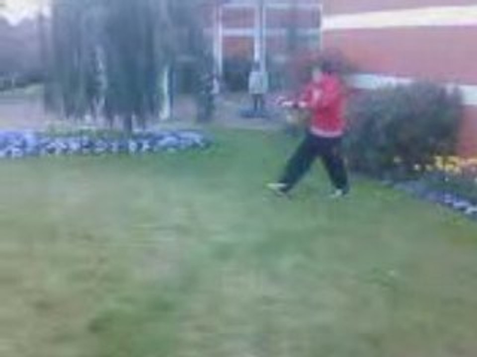 VID009