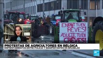 Informe desde Bruselas: protestas del sector agrícola se toman Bélgica