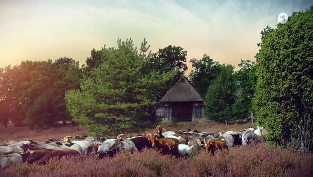 Rote Rosen Folge 3930