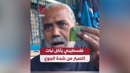 فلسطيني يأكل نبات الصبار من شدة الجوع
