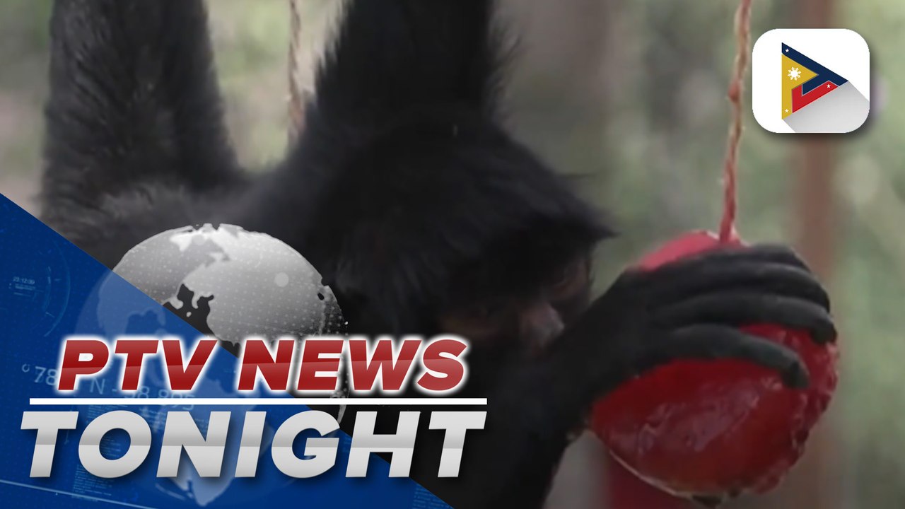 Bulalacao town placed under state of calamity due to #ElNinoPH