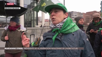 Agriculteurs à Bruxelles : des tensions et des heurts