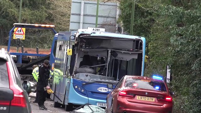 Emergency services called as fallen tree hits bus and a van in Horsham