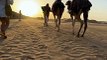 camel  ride in desert safari dubai