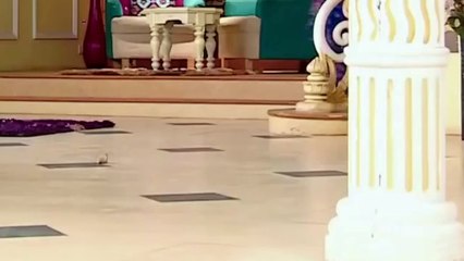 trampling fdom | kicks...