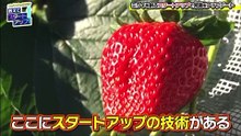 20240226 これが未来の新常識!教えてスタートアップ!