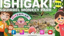 石垣やいま村 Monkey Squirrel  ISHIGAKI Yaima Village Okinawa Island  Villaggio Ishigaki Yaima リスザル園 2022