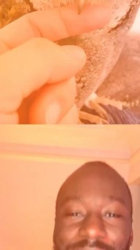 Abonne-toi pour suivre l’actualité positive chaque semaine ! @ Source 1 : RTBF I source 2 : Ouest France I source 3 : Le Monde I source 4 : Fashion Network I source 5 : Euronews