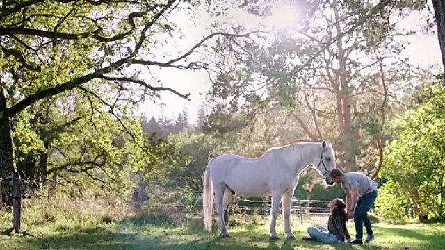 Sturm der Liebe 4206 folge