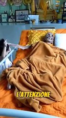 Questo Nonno aveva 109 anni! 