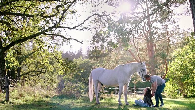 Sturm der Liebe 4206