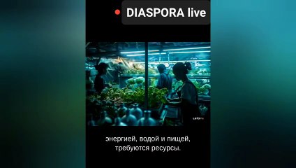DIASPORA SYSTEM  Запуск нового проекта, мы у самого истока, поэтому можно