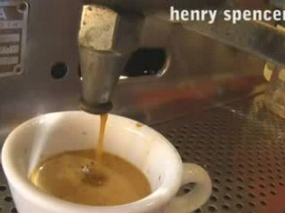 Arabica Expresso Bar
