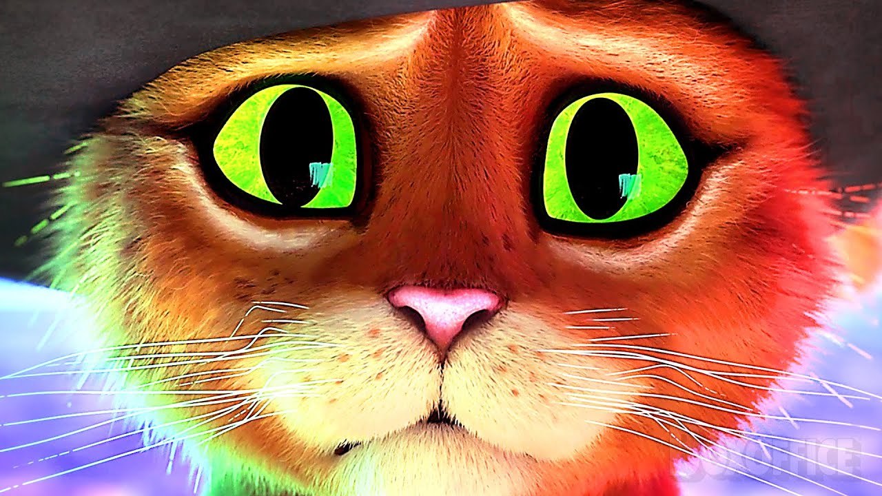 Combat Magique chacun pour soi | Le Chat potté 2 | Extrait VF