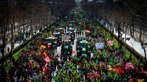 Nueva jornada de protestas de los agricultores en Madrid