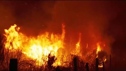 Viendra le feu (2019) - Bande annonce