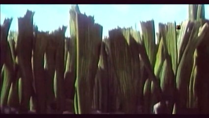 Fourmiz (1998) - Bande annonce