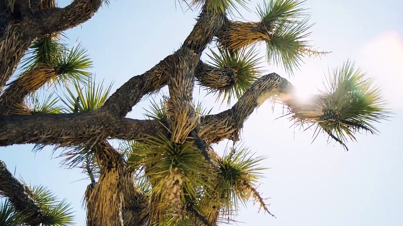 Otilia feat Deejay Fly - I dont know Stephano Rossi Remix Best Deep House , Otilia - You you (Pepp