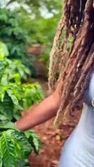 Kelis tried to show off natural coffee, but something else stole the focus