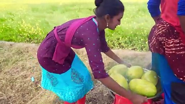 Tui Tui Unlimited Comedy VideoTui tui 2024