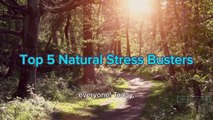 Top 5 Natural Stress Busters | Top Health Tips GSE