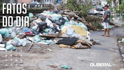 Pragas urbanas: período chuvoso aumenta o aparecimento de animais indesejados