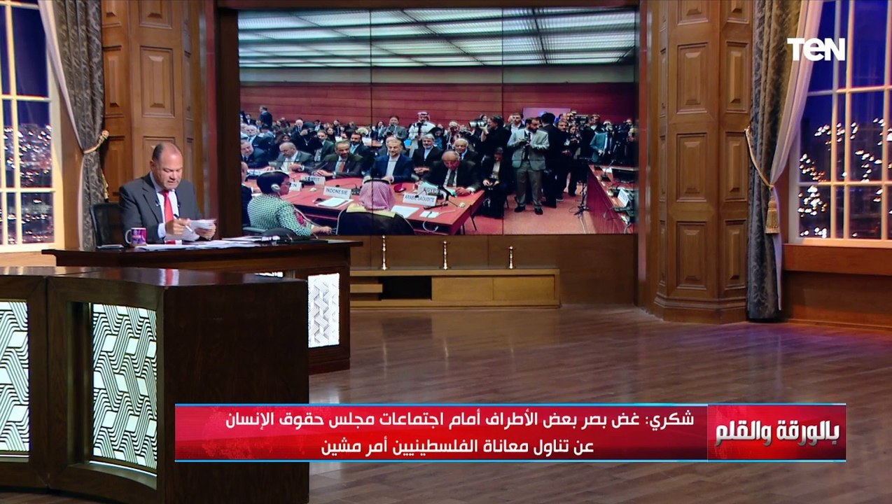 سامح شكري يصف غض بصر بعض الأطراف بمجلس حقوق الإنسان عن تناول معاناة الفلسـ طينيين بالأمر المشين