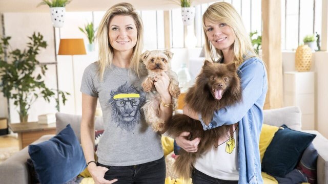 Bande annonce Animaux à adopter : nouvelle famille pour une nouvelle vie