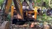 Sauvetage Héroïque : Éléphanteau échappe de justesse à une chute mortelle dans un puits en Inde