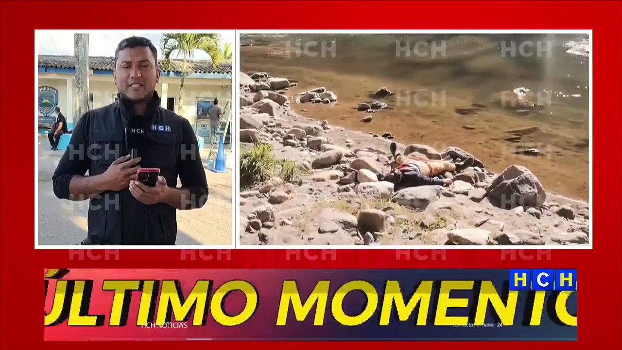 Transmisión en Vivo (3331)