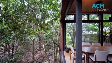 Stunning Coledale Tree House Now For Sale 🌳