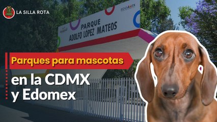 Los mejores parques para mascotas en la CDMX y Edomex