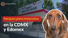 Los mejores parques para mascotas en la CDMX y Edomex
